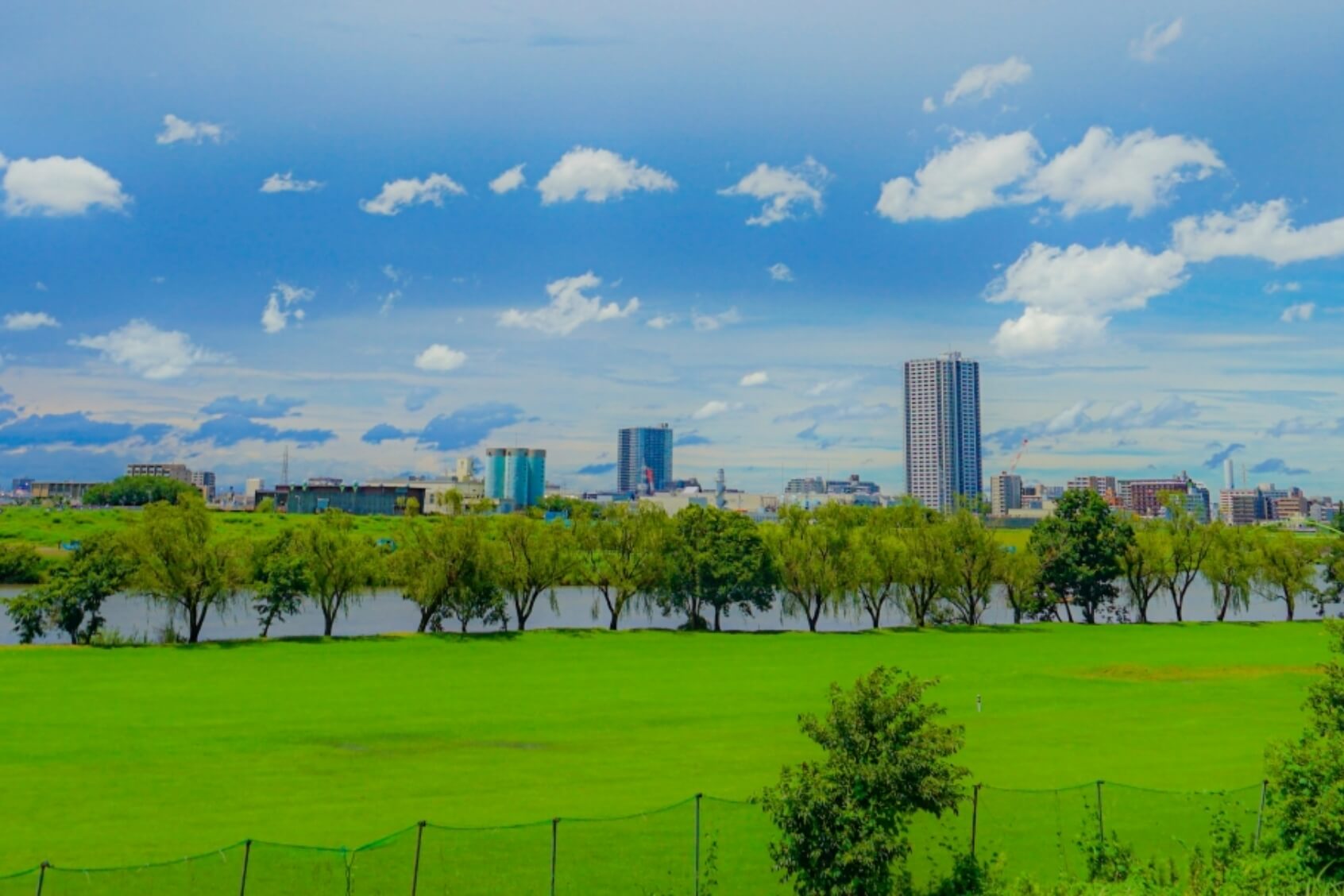 江戸川河川敷