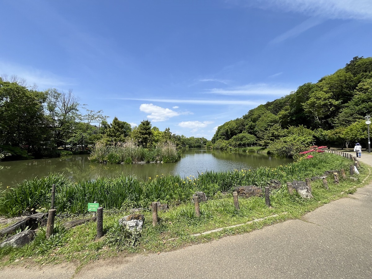 じゅん菜池緑地