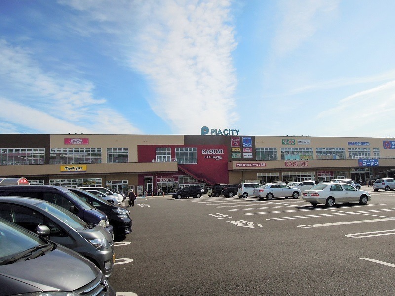 ピアシティ柏中新宿店(コーナン・KASUMI・マツモトキヨシ・ダイソー・他)