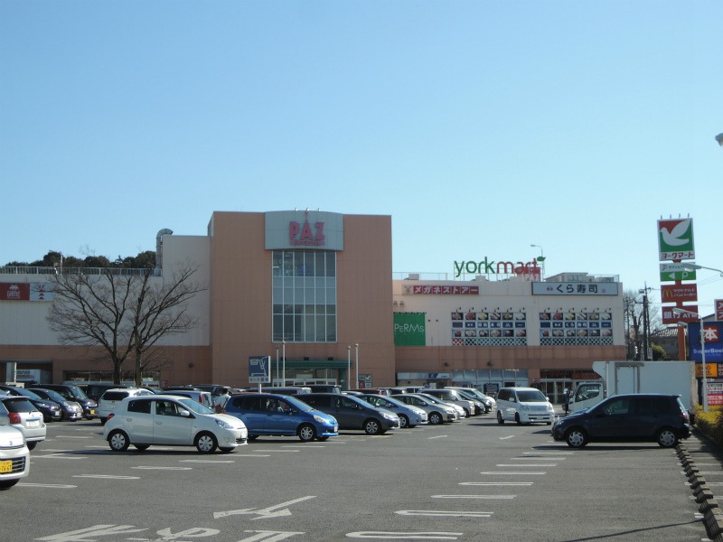 PAZ新柏(ヨークマート・マクドナルド・くら寿司・サイゼリア・書店・美容院)