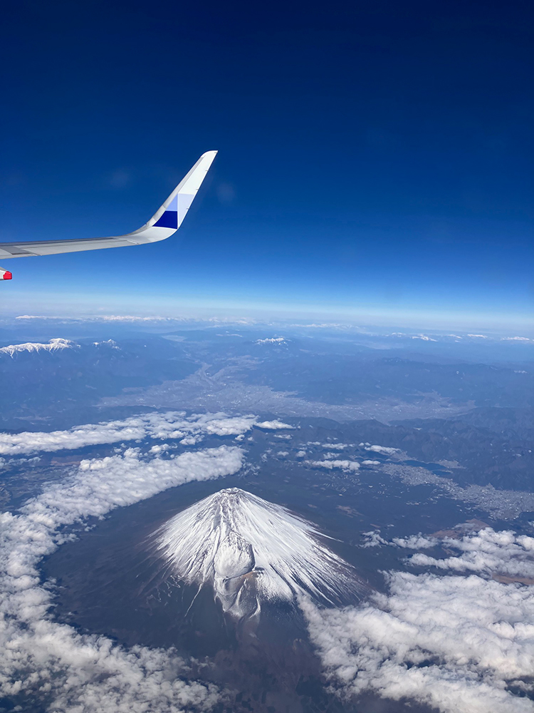 飛行機に乗るのが好きです。
