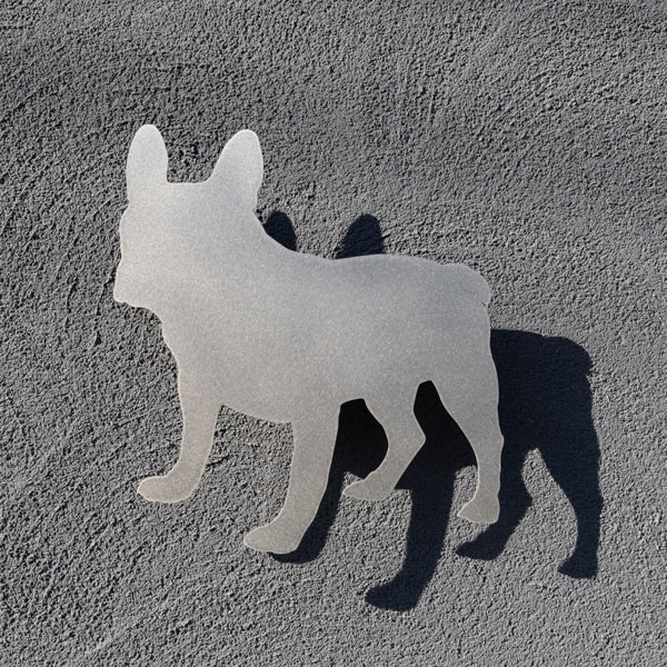 フレンチブルドッグのライト